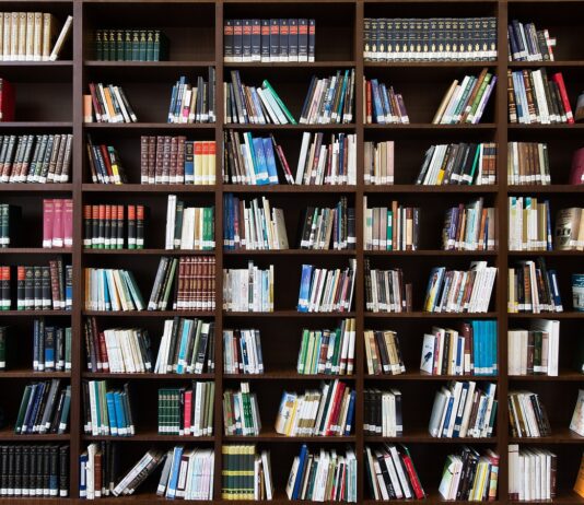Szwedzkie kryminały a literatura sensacyjna: Co wybrać?
